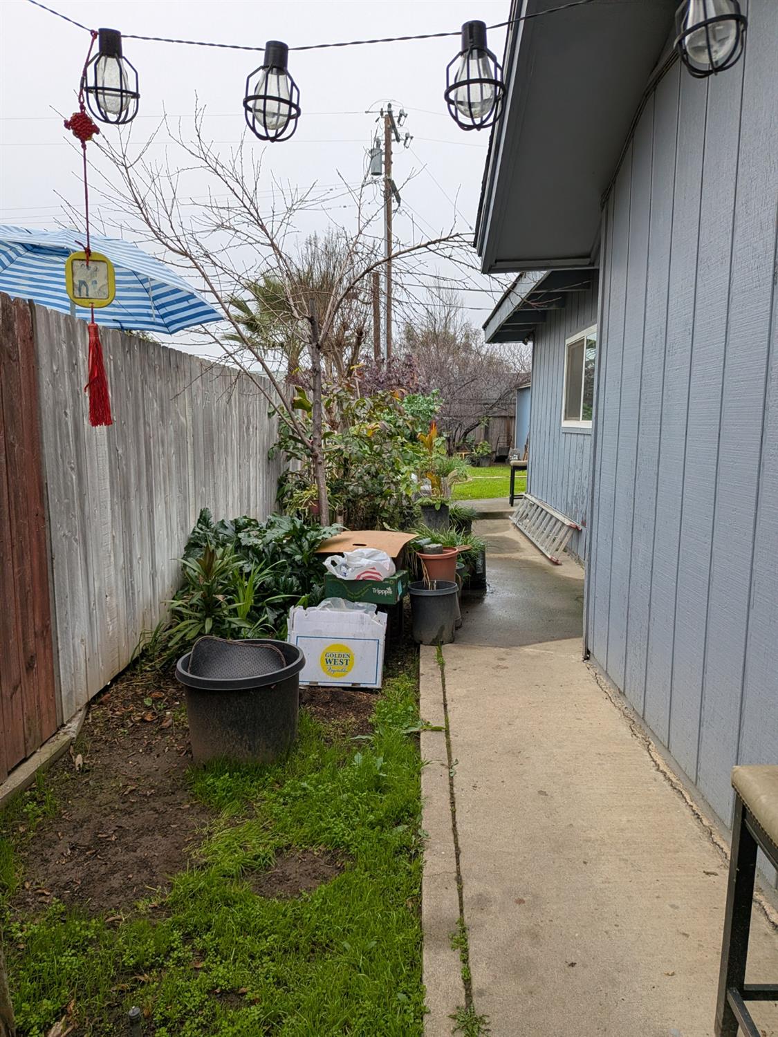 5209 North Angus Street Fresno, CA 93710 - Photo 30 of 33 a garden view with a seating space