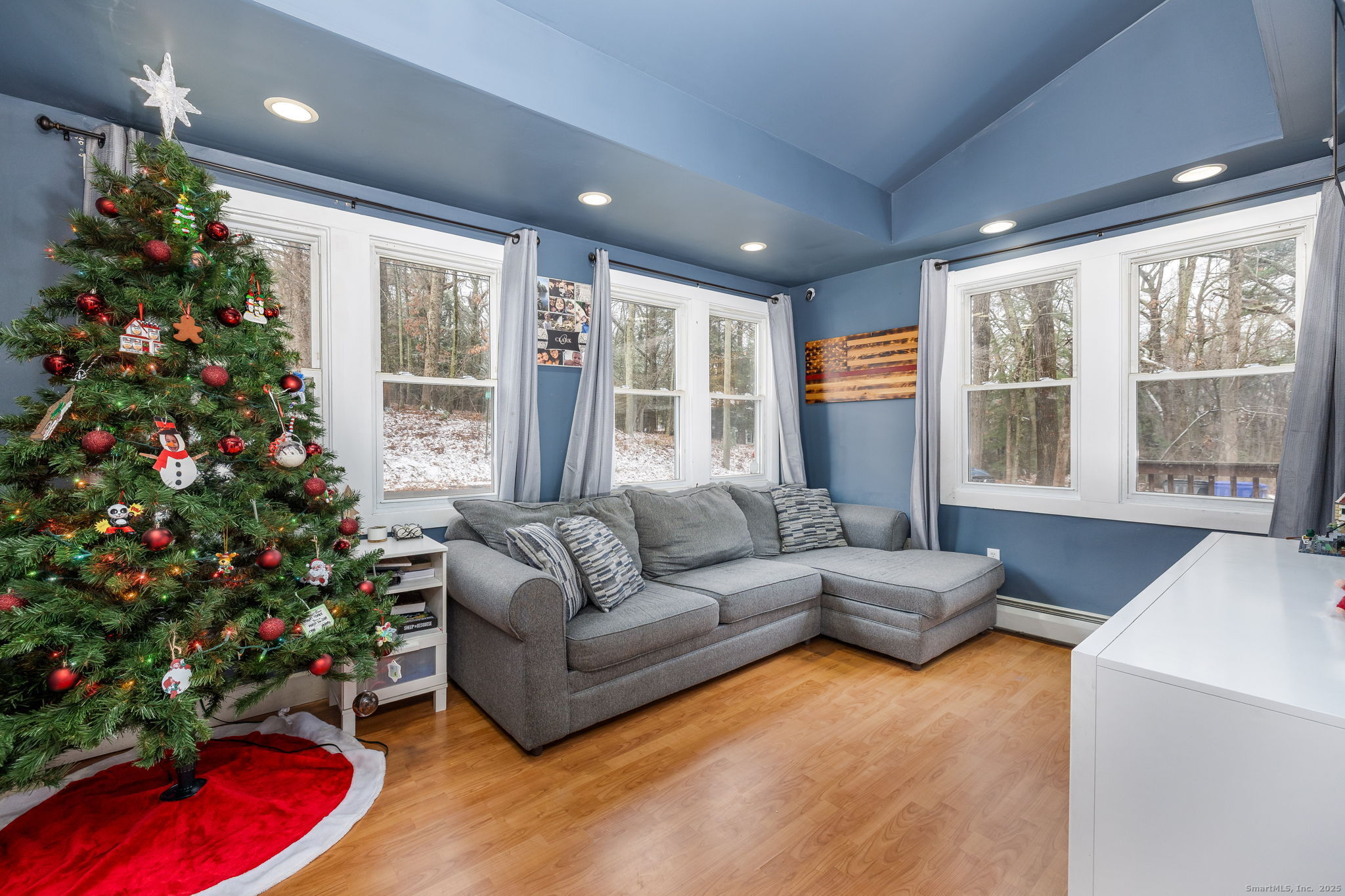 37 Carpenter Road Bolton, CT 06043 - Photo 8 of 17 a living room with furniture and a potted plant