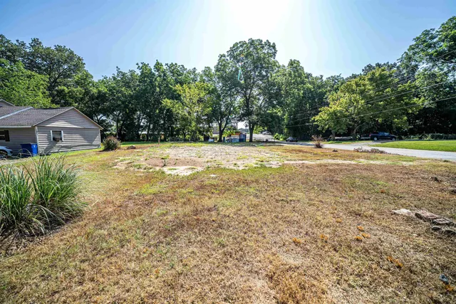 a view of a yard with plants