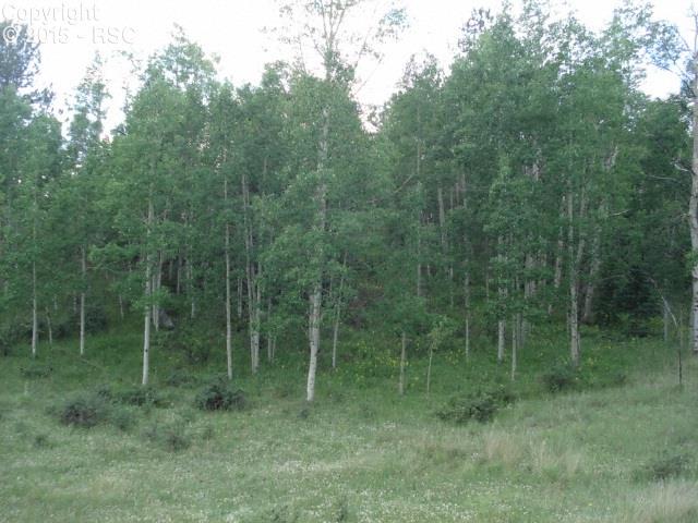 1178 Princess Road Cripple Creek, CO 80813 - Photo 10 of 12 Gallery Image 10