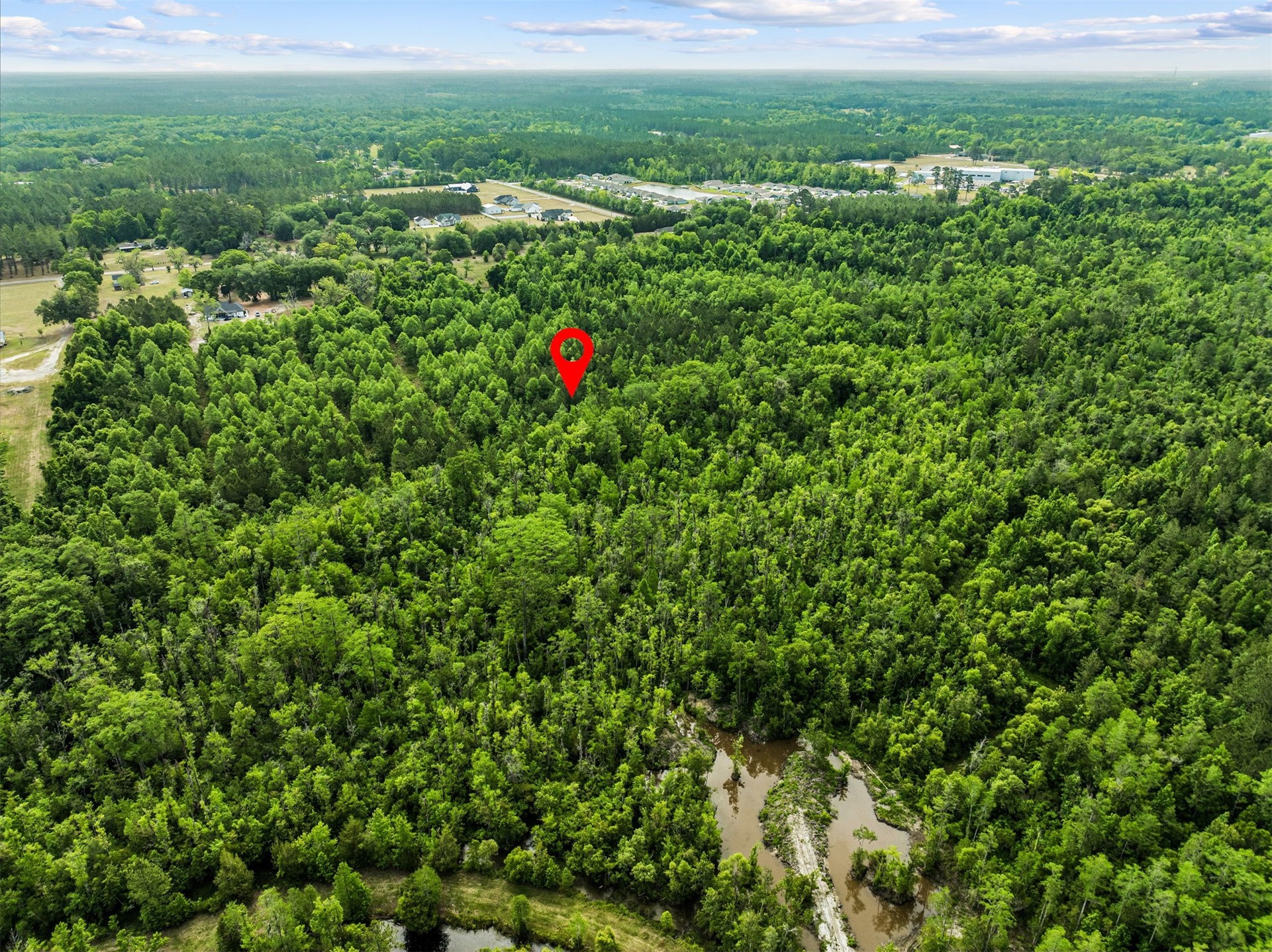 0 Kings Ferry Road Hilliard, FL 32046 - Photo 5 of 9 a view of a lush green field