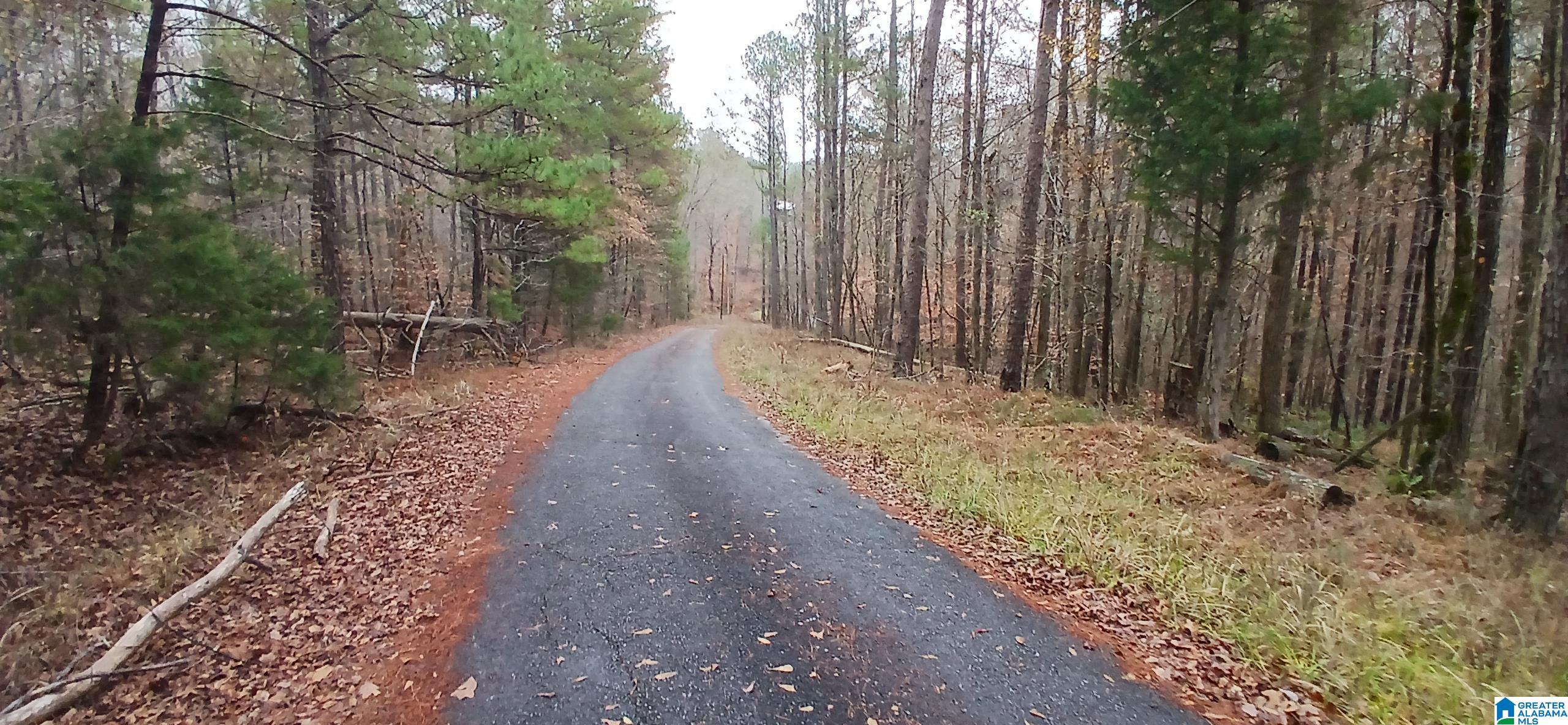 0 Venable Road Trussville, AL 35173 - Photo 1 of 15