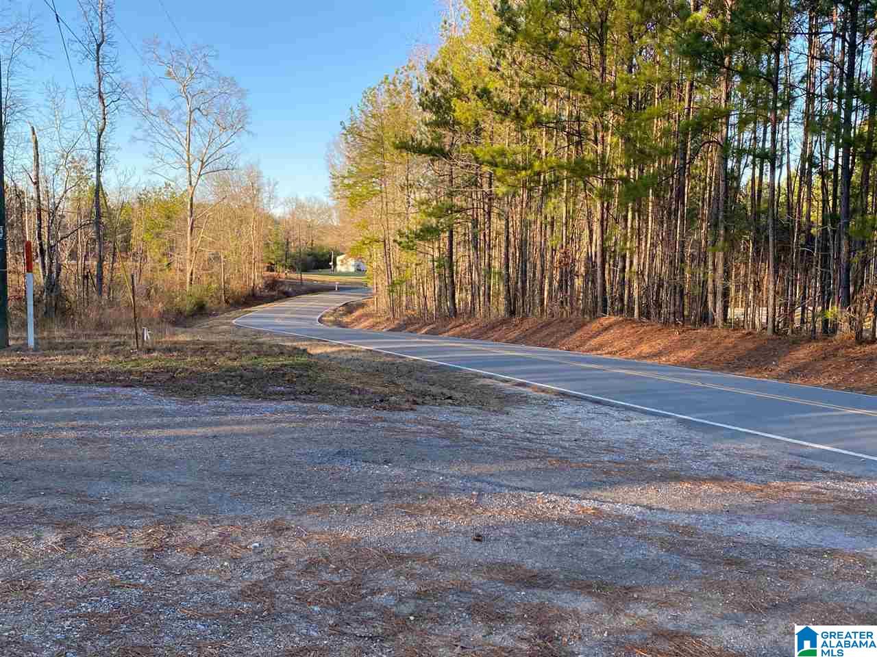 0 Florida Road, Unit 20 ACRES Pell City, AL 35125 - Photo 2 of 6 Gallery Image 2