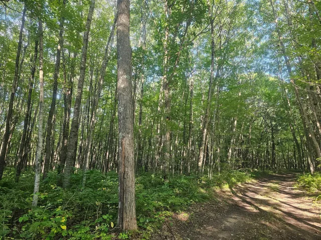 $34,500 | Lot 2 Ken Can Lane, Webster, WI 54893