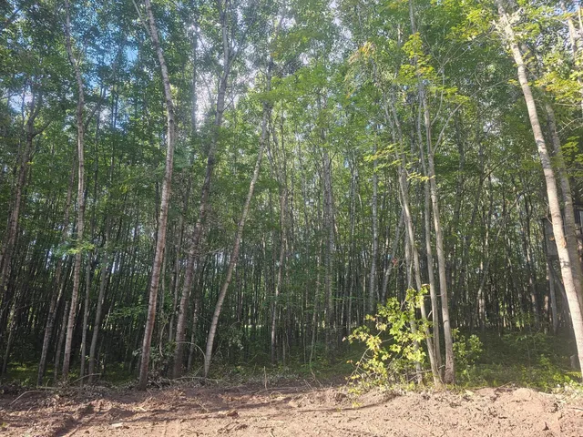 $34,500 | Lot 2 Ken Can Lane, Webster, WI 54893
