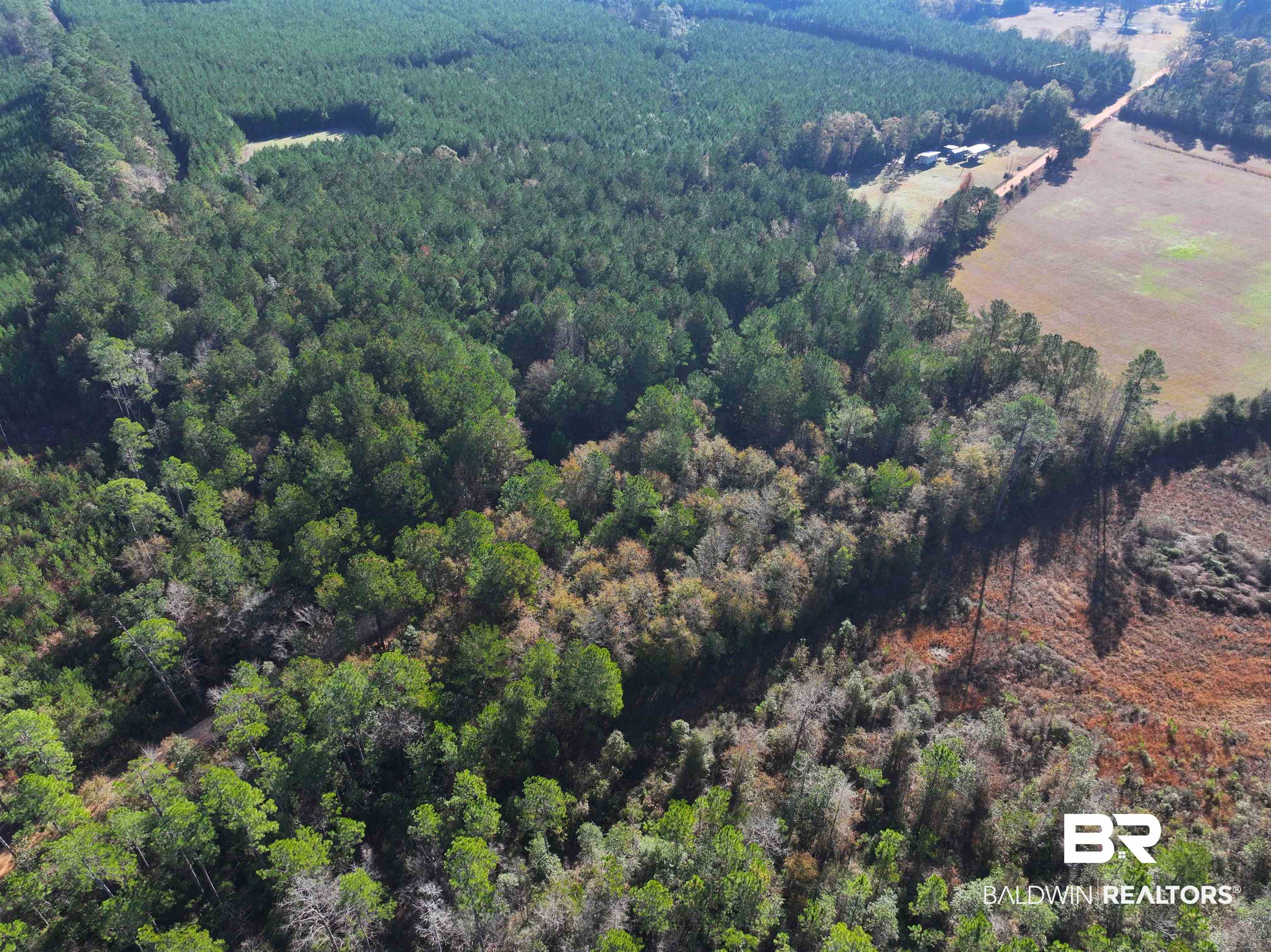 0 Judge Level Road Brewton, AL 36426 - Photo 7 of 9 Drone / aerial view