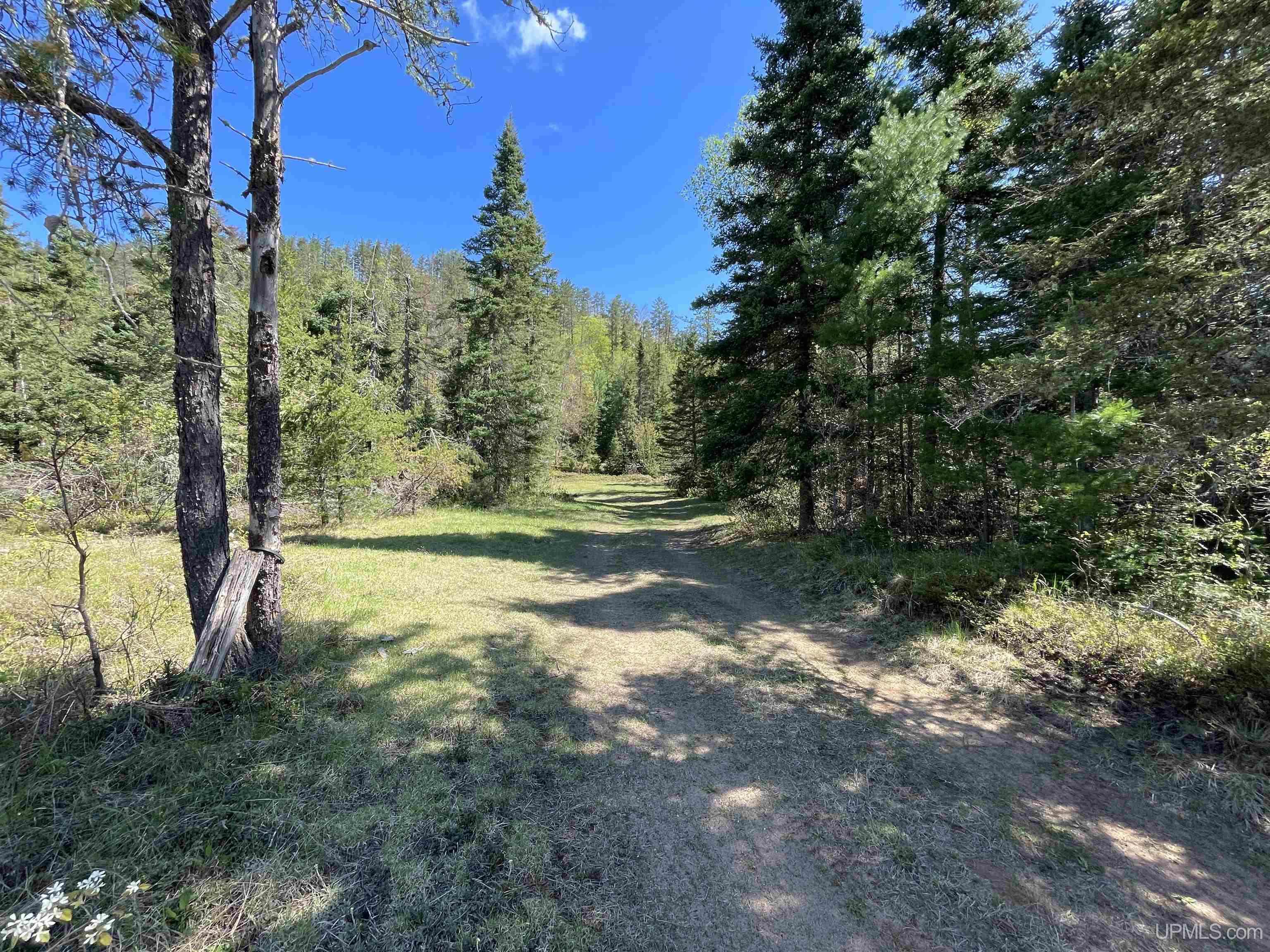 2546 Co Road Ishpeming, MI 49849 - Photo 6 of 53