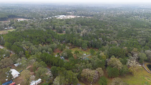 a view of a forest with a street