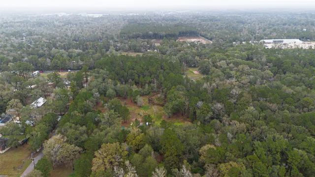 a view of a forest with a houses