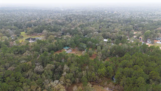 a view of a forest with a street