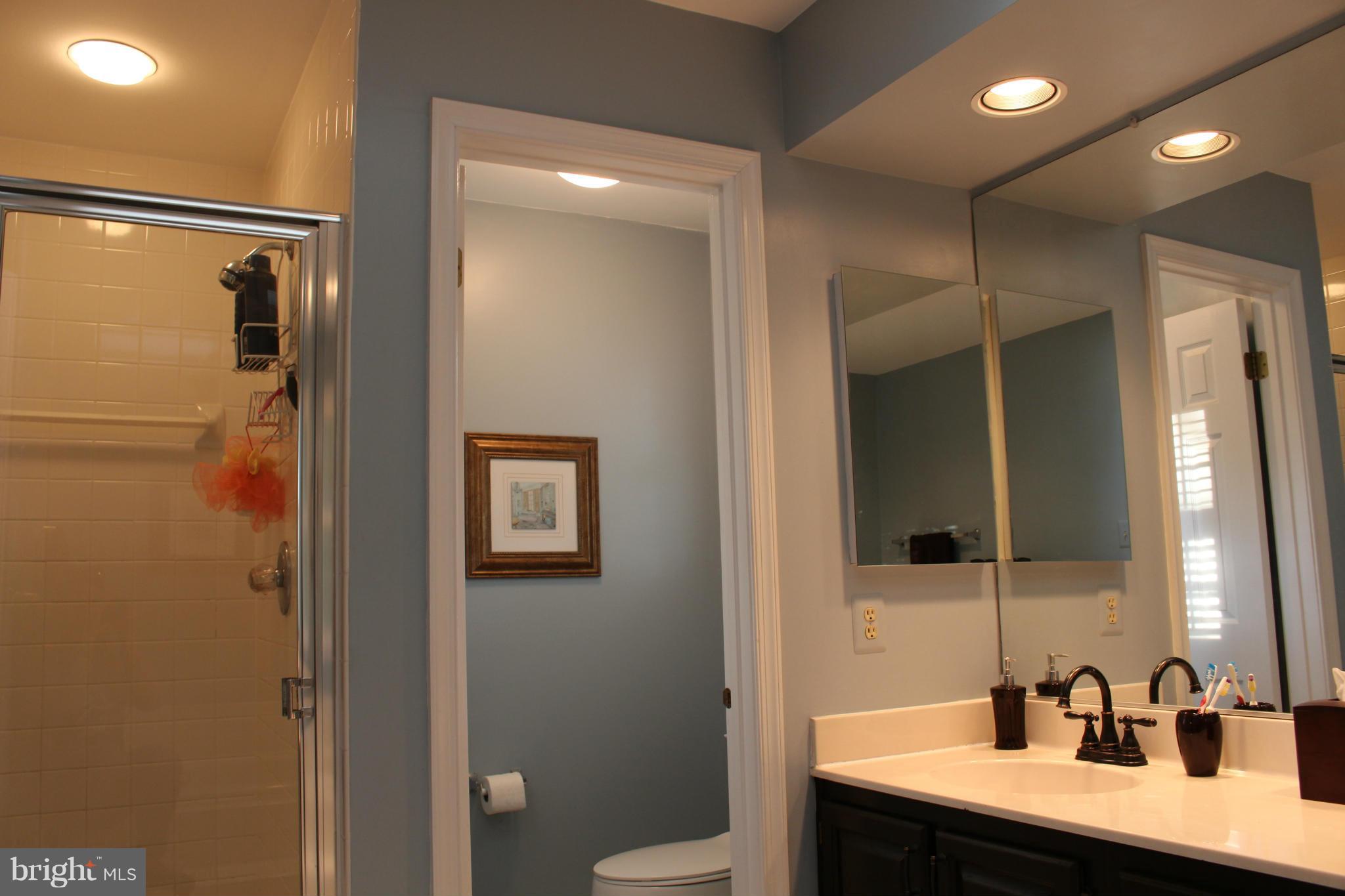 2220 Forest Glen Road Silver Spring, MD 20910 - Photo 16 of 27 Bath (Master)