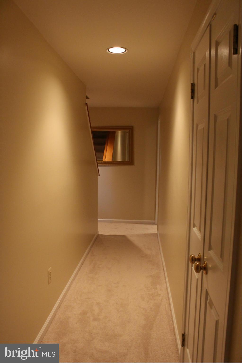 2220 Forest Glen Road Silver Spring, MD 20910 - Photo 5 of 27 Basement
