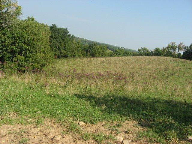 0 Mason Cordova Road Corinth, KY 41010 - Photo 7 of 14 Gallery Image 7