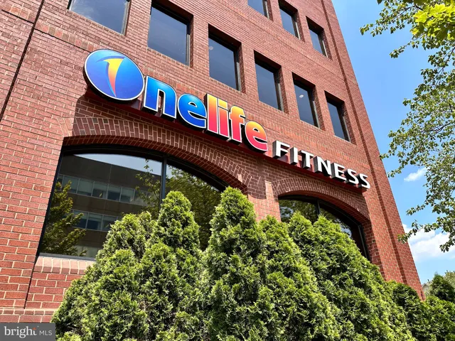 a view of a garden and swimming pool with a garden