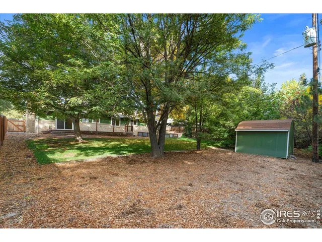 a view of a yard with plants