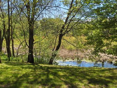 16865 Cotherman Lake Road Three Rivers, MI 49093 - Photo 3 of 15 Additional Photo
