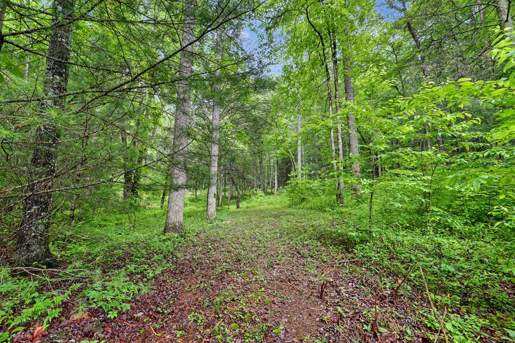 1070 Morgan Creek Road Marble, NC 28905 - Photo 30 of 40