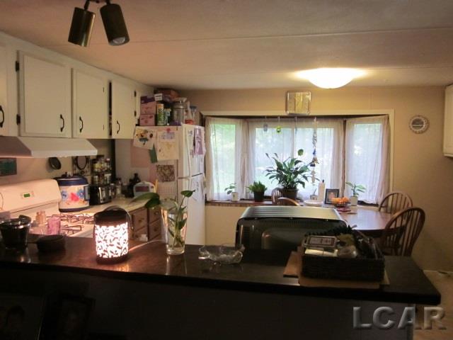 1256 Church Street Adrian, MI 49221 - Photo 3 of 5