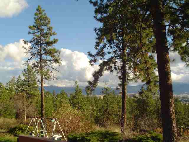 15702 East Jacobs Road Spokane, WA 99217 - Photo 5 of 7