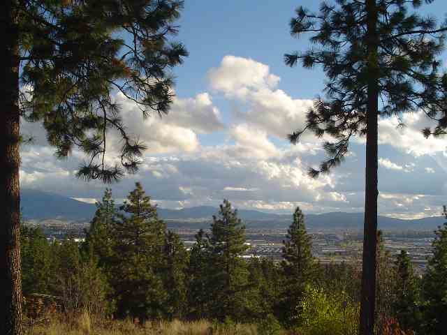 15702 East Jacobs Road Spokane, WA 99217 - Photo 6 of 7