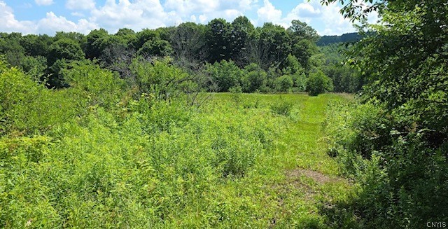 1252 N Road Tully, NY 13159 - Photo 44 of 48 Gallery Image 44