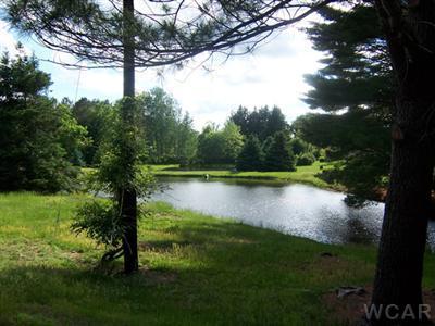 17849 Pierce Road Stanwood, MI 49346 - Photo 2 of 9 Additional Photo