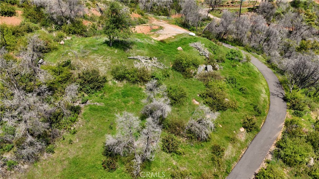 4632 Triangle Road Mariposa, CA 95338 - Photo 21 of 26 a view of a garden
