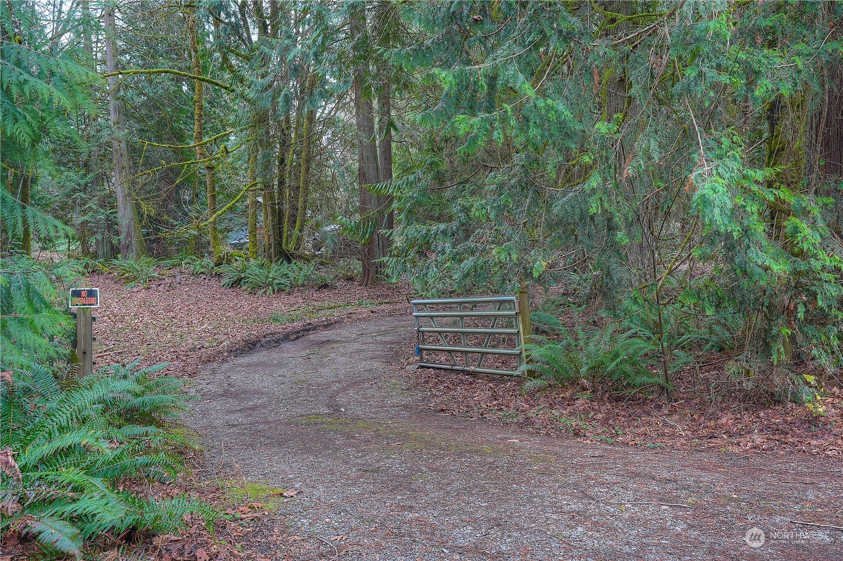 17908 Erickson Road Southwest Longbranch, WA 98351 - Photo 25 of 30 a view of a backyard with trees