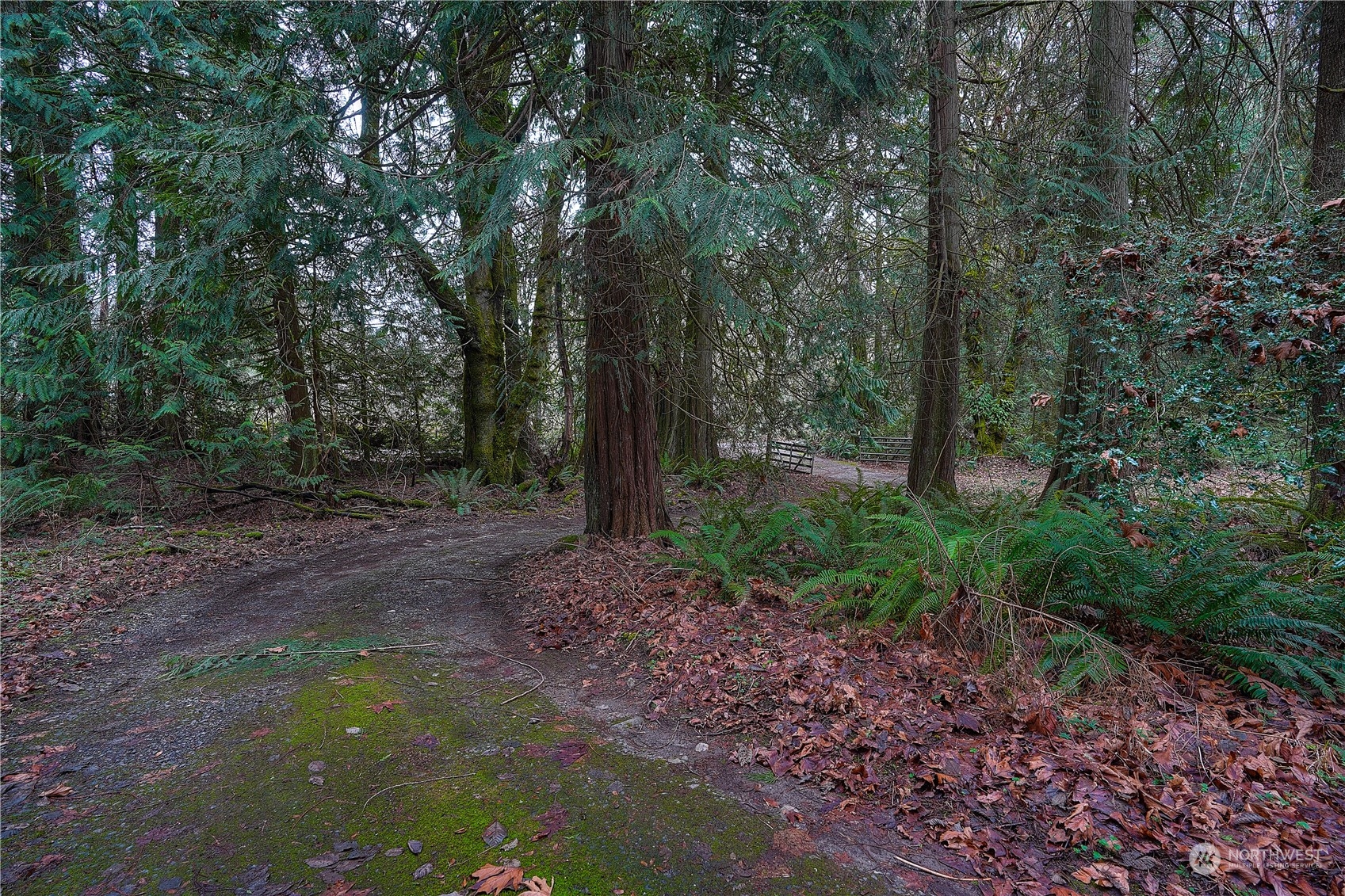 17908 Erickson Road Southwest Longbranch, WA 98351 - Photo 26 of 30 a view of a yard with plants and trees