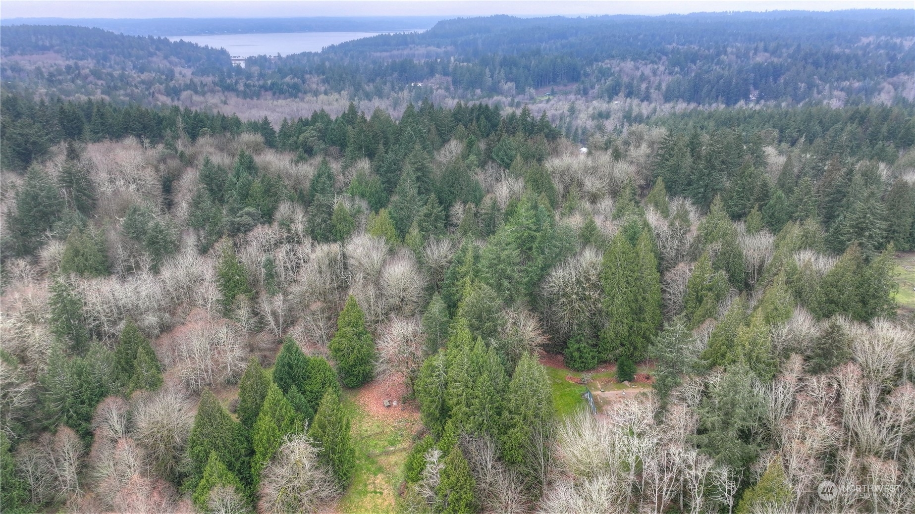 17908 Erickson Road Southwest Longbranch, WA 98351 - Photo 27 of 30 a view of a lush green forest with trees and some houses