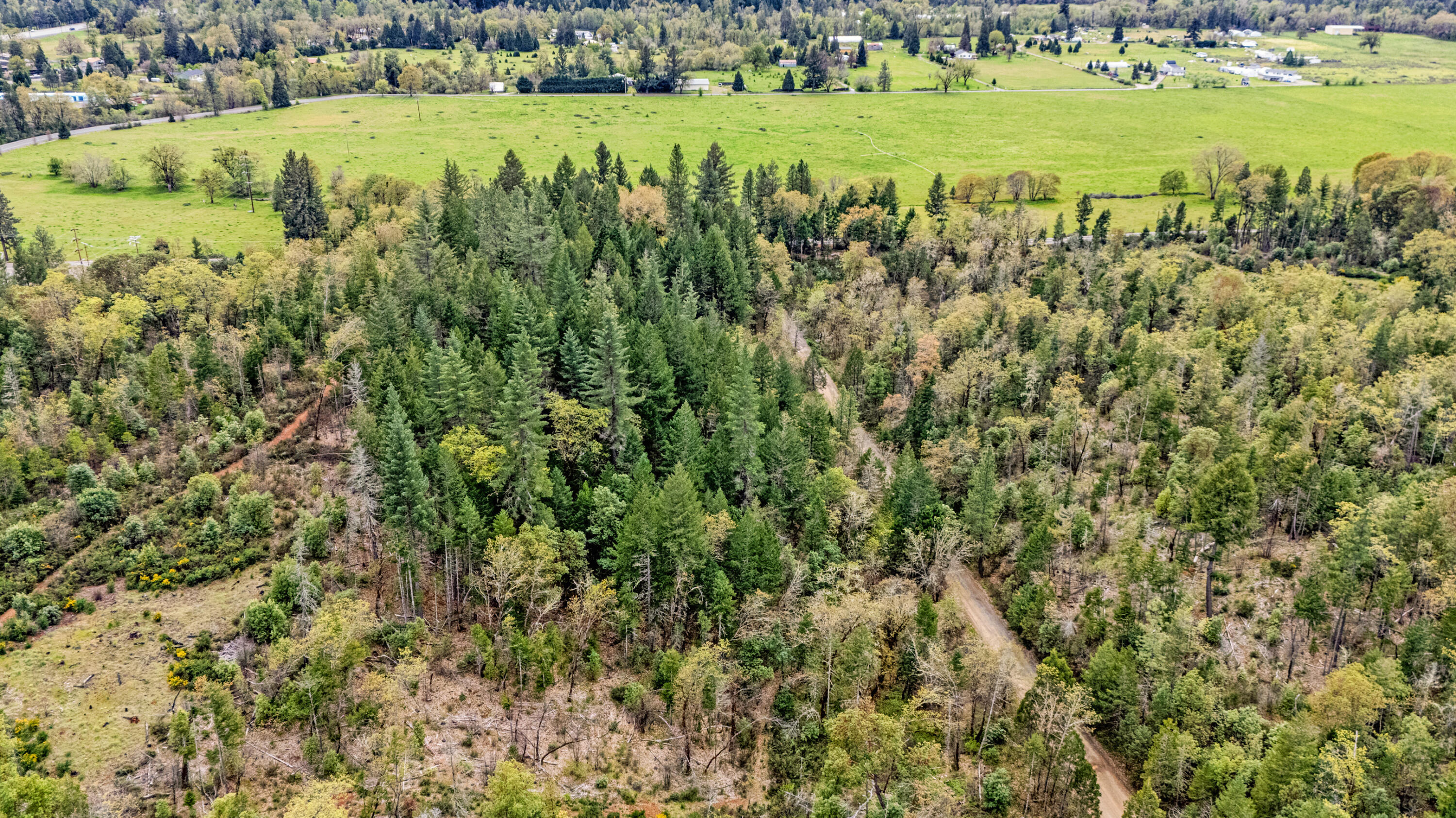 323 Valley Heights Road Selma, OR 97538 - Photo 5 of 11