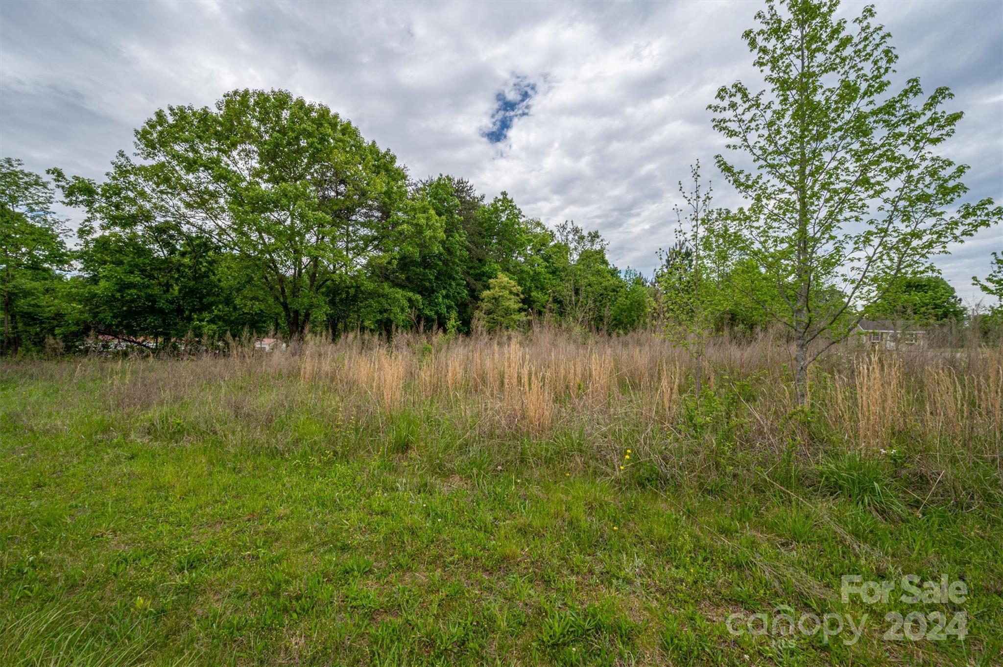 0 Cedar Grove Church Road Vale, NC 28168 - Photo 5 of 7 a view of a lake view