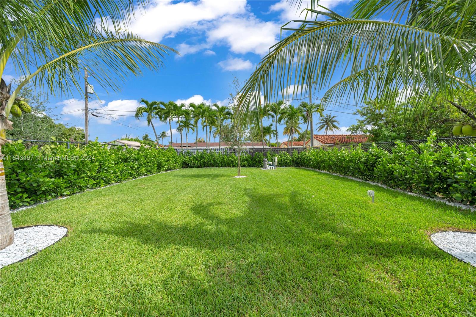 8821 Southwest 56th Street Miami, FL 33165 - Photo 44 of 49 a view of a yard with a palm tree