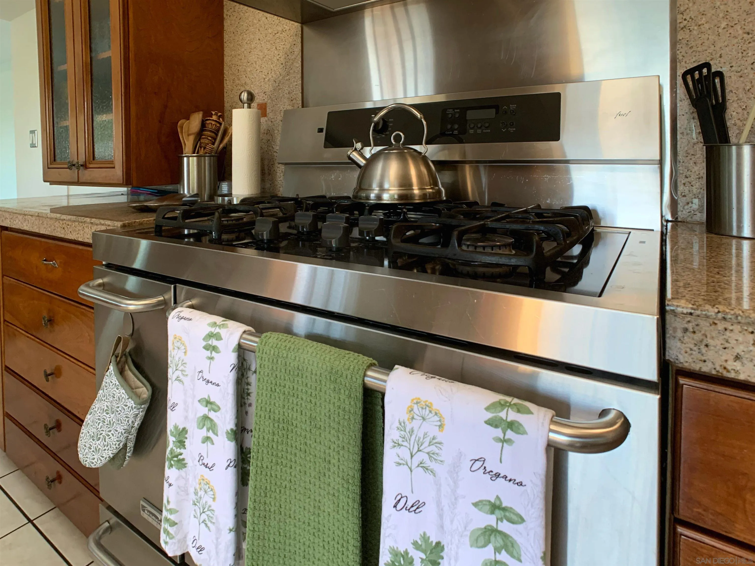 3606 Hartzel Drive Spring Valley, CA 91977 - Photo 36 of 75 Gorgeous 6-burner stove