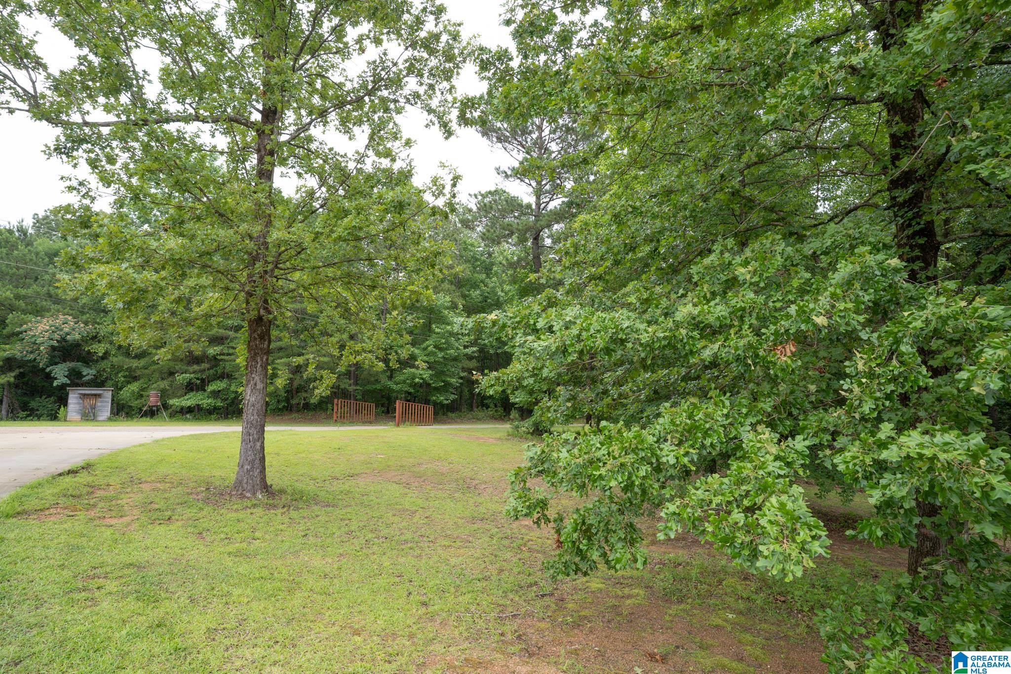 9677 Golden Lane Bessemer, AL 35023 - Photo 72 of 76