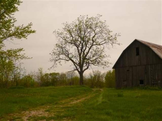2832 South Menges Road Pleasant Lake, IN 46779 - Photo 3 of 5 Gallery Image 3