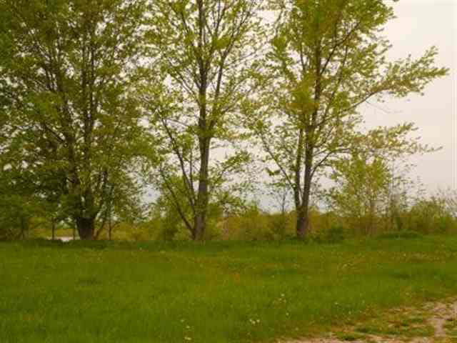 2832 South Menges Road Pleasant Lake, IN 46779 - Photo 4 of 5 Gallery Image 4