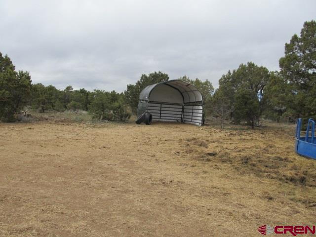 76400 B76 Road Crawford, CO 81415 - Photo 13 of 13 Gallery Image 13