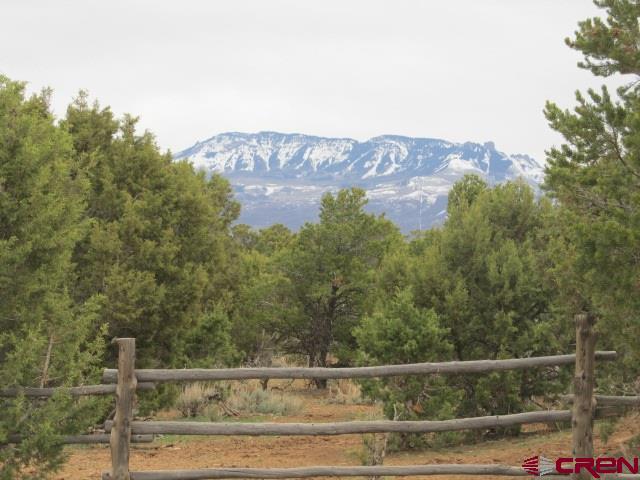 76400 B76 Road Crawford, CO 81415 - Photo 6 of 13 Gallery Image 6