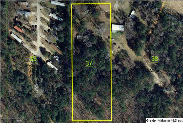 2860 Choccolocco Road, Unit 3AC Anniston, AL 36207 - Photo 3 of 4
