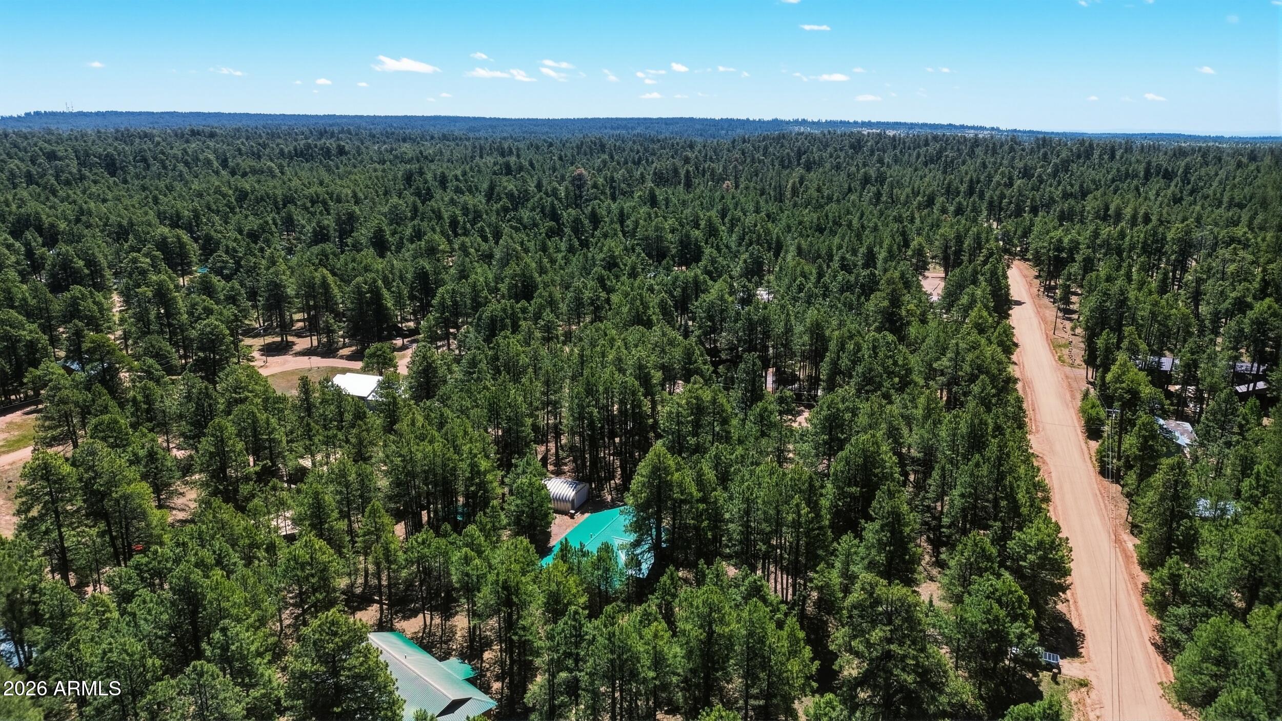 1233 Merzville Road Forest Lakes, AZ 85931 - Photo 39 of 42 Aerial C Road