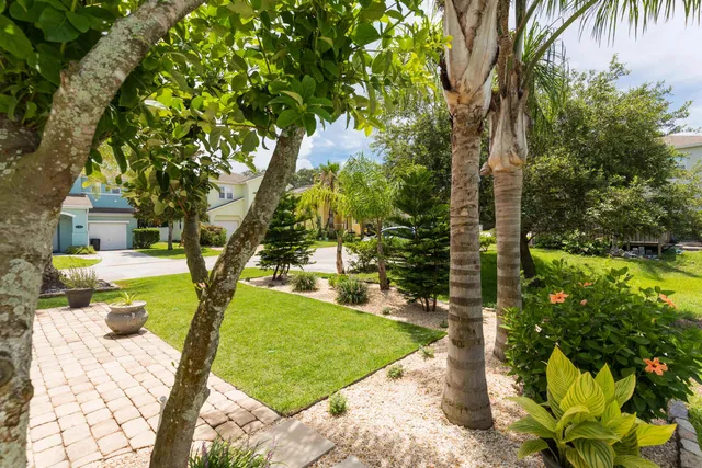 a view of a backyard with palm trees