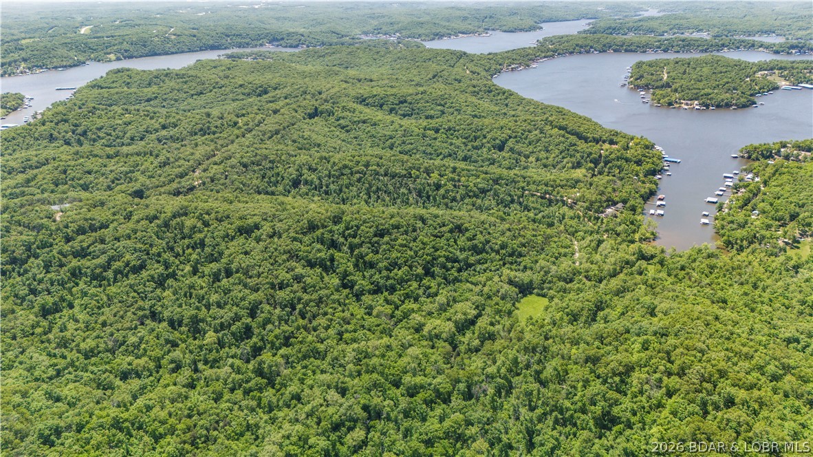 5-acres Pirates Pirates Cove Road Camdenton, MO 65020 - Photo 22 of 30