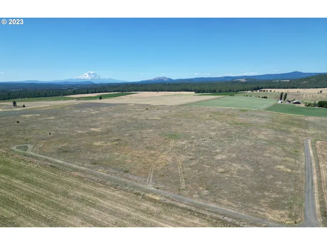 a view of a big room with a big yard