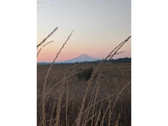 a view of a lake with a yard