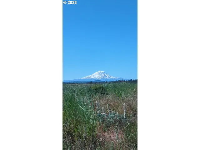 a view of a yard with an outdoor seating