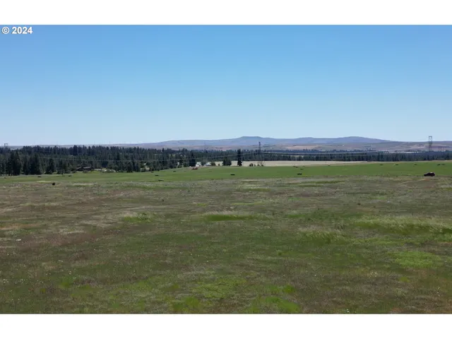 a view of a field with an ocean view