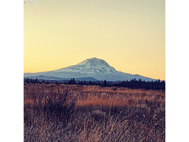 a view of a building in the background