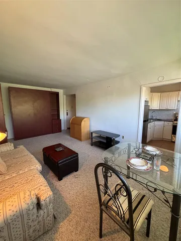 a view of a garden with trees