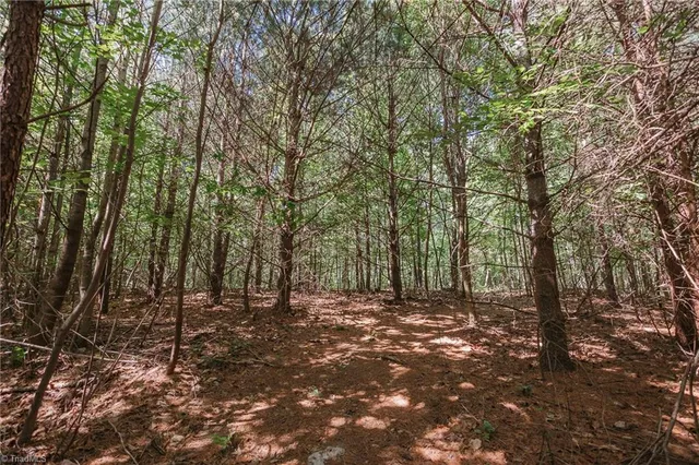 $200,000 | Xx 44.93-acres Xx 44.93-acres Stardust Trail Mount, Mount Airy, NC 27030